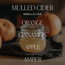 Load image into Gallery viewer, MULLED CIDER HANGING AIR FRESHENER