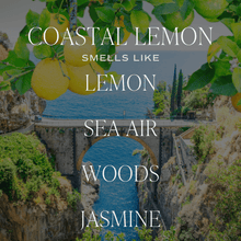 Load image into Gallery viewer, COASTAL LEMON AIR FRESHENER
