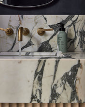 Load image into Gallery viewer, FOAMING HAND SOAP: CITRUS OASIS
